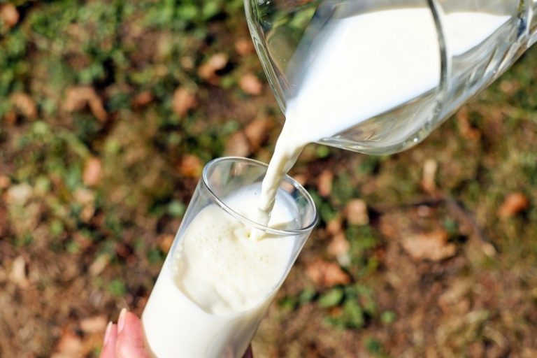 Jak vyčistit skvrny od mléka a smetany?