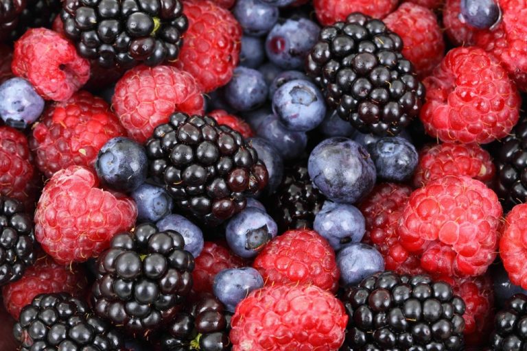 Jak vyčistit skvrny od ovoce (bezinek, borůvek, brusinek, malin, ostružin, rybízu, třešní, višní, červených hroznů…)?
