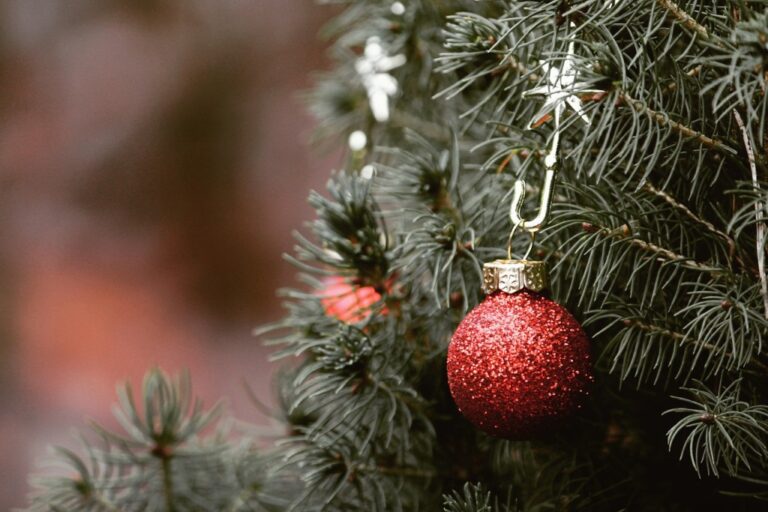 Jak odstranit smolu od vánočního stromku z koberce nebo sedačky?